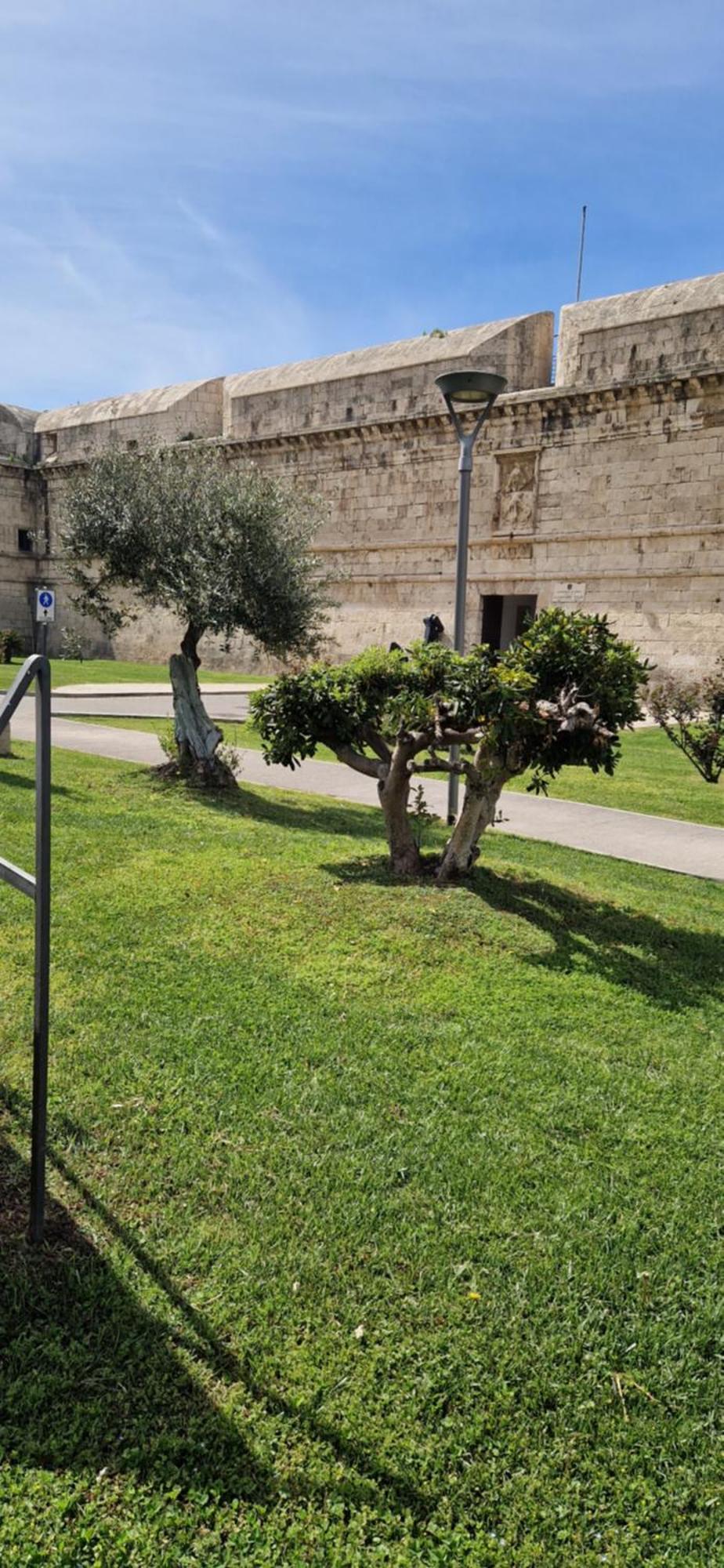 Md House Bed & Breakfast Civitavecchia Luaran gambar